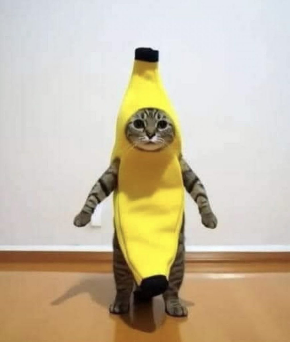 _ipuddingu's tweet image. 반항아
