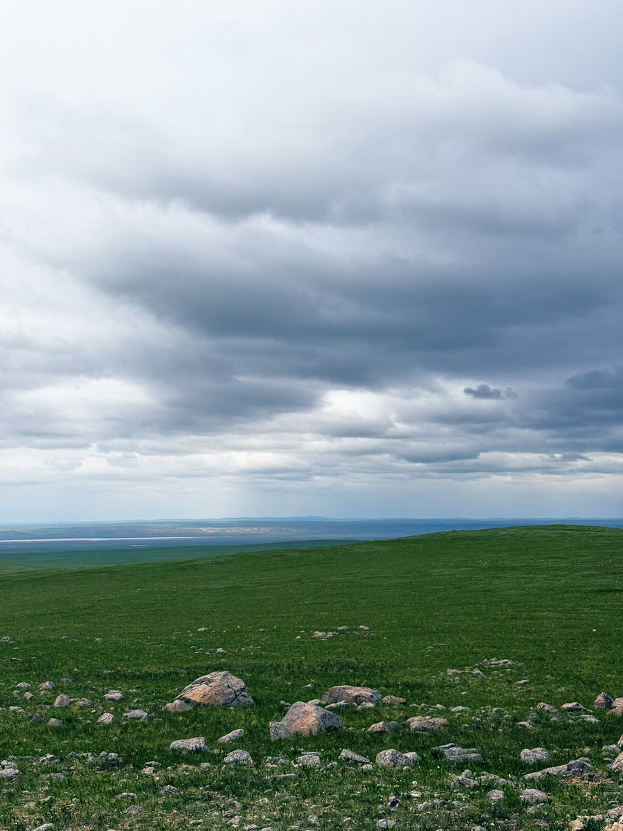irvaat's tweet image. Сайхандаа