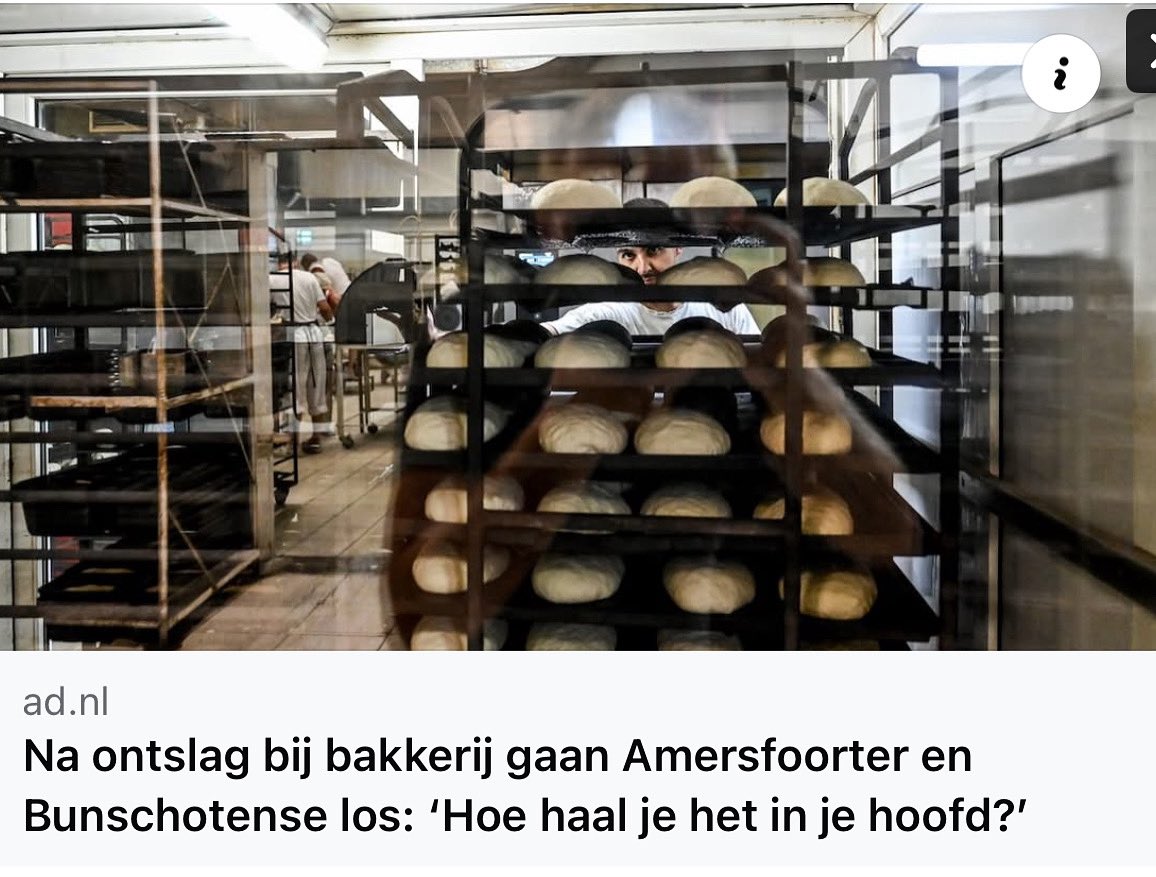 Na ontslag bij bakkerij gaan Amersfoorter en Bunschotense los: Opgestoken middelvingers, een trap, een ladder die omver wordt gegooid en een pallet die tegen een robotarm. ‘Uit frustratie’, bekent de 36-jarige Amersfoorter in de Utrechtse rechtszaal. ad.nl/amersfoort/na-…