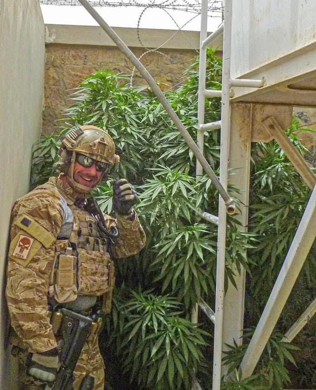 uncle_fury's tweet image. CIA Global Response Staff (GRS) operator in desert tiger stripe camouflage standing in front of a concealed weed crop inside a structure.