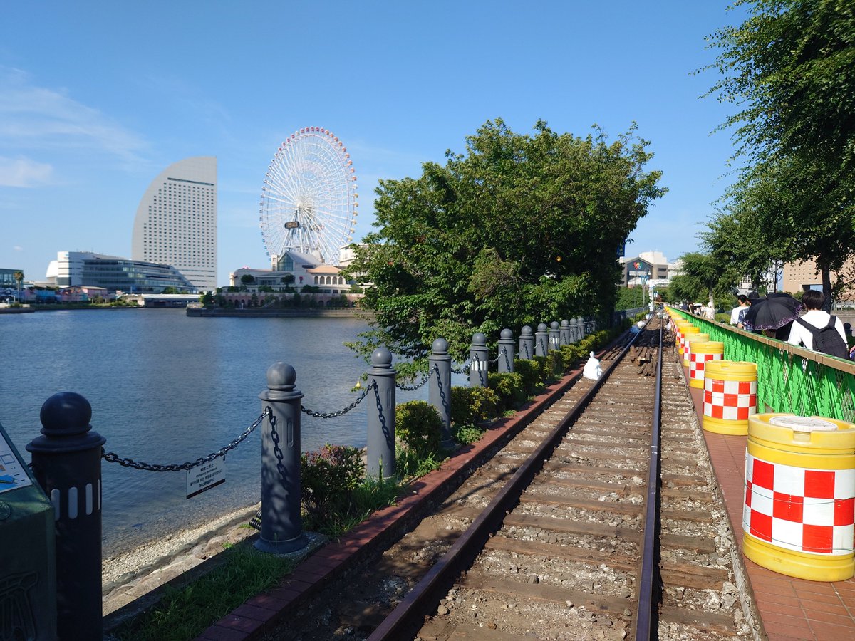 calpico1025KHK's tweet image. 横浜臨港線の廃線跡を見に来た
おそらく明治当時？の枕木などが残ってるのすごい…
レール固定方法も場所によって違いがあって興味深い