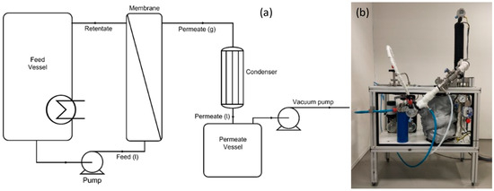 Membranes_MDPI's tweet image. 🗞️Newly Published Article 🗞️– “Unlocking the Benefits of Hybrid and Standalone #Pervaporation for Sustainable Isopropanol Dehydration with HybSi® AR #Membranes”
by Mohammed Nazeer Khan, Pieter Vandezande from @VITObelgium, et al.
👉mdpi.com/3421506
#SolventRecovery