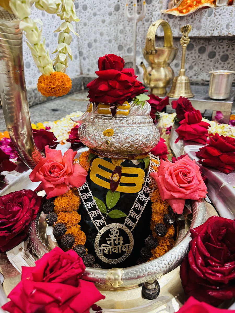 देवाधिदेव महादेव शिव शंकर 🌹🙏🙏