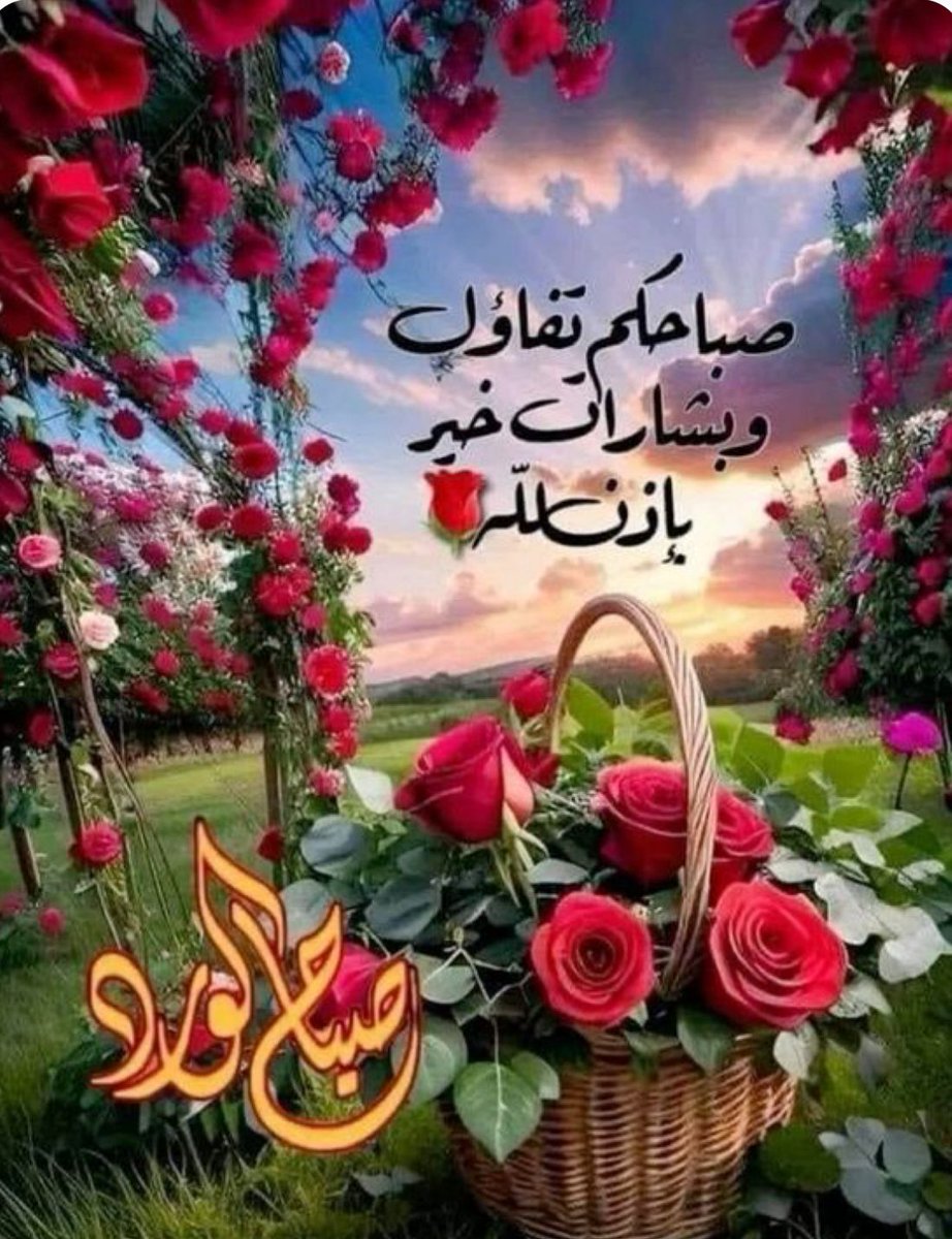 عيون المها 🇮🇶 (@_hztt) on Twitter photo 