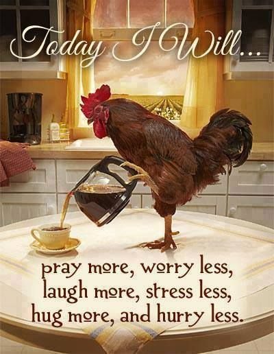 dobiren09's tweet image. Great morning