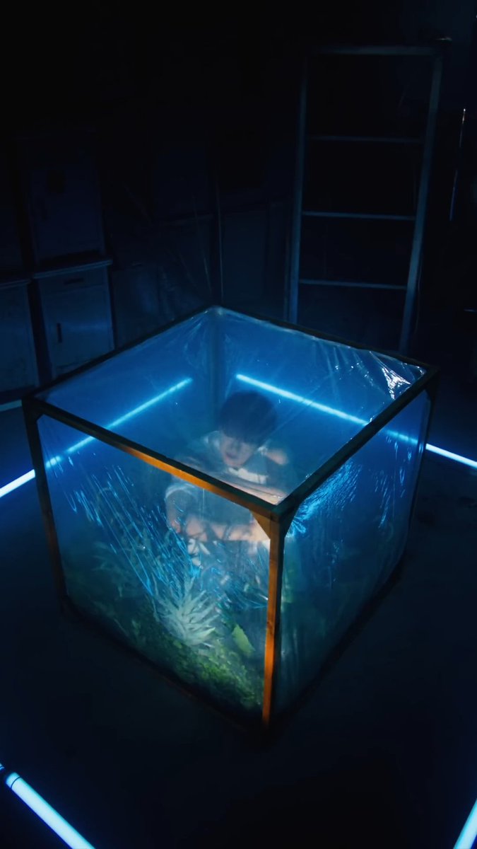 골든크로우즈 tweet media