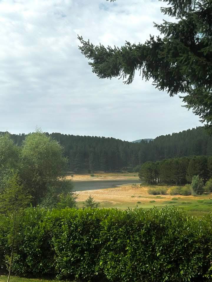 Cristina6013's tweet image. Natura incontaminata, silenzio e pace: uno scorcio di serenità tra boschi e lago.
Buongiorno,
che il sole vi sorrida
e il silenzio del verde vi culli. 🌞🌲