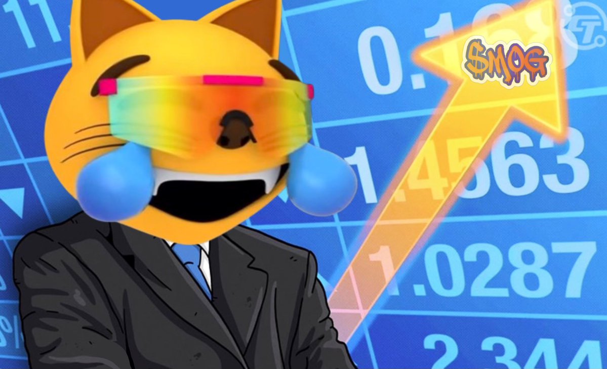 serezhaxbt's tweet image. up only til EOY 

mog coin