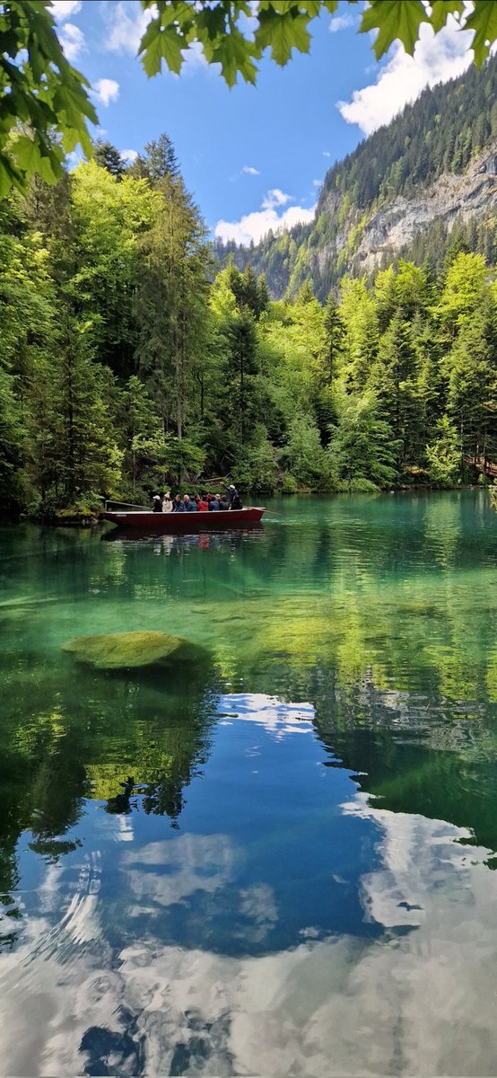 Gm wish you a good day, today from 🇨🇭