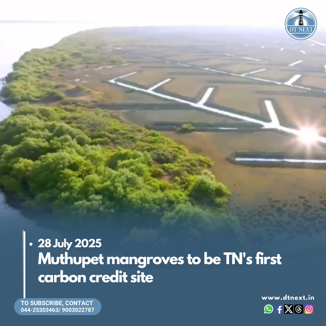 dt_next's tweet image. The Tamil Nadu Green Climate Company (TNGCC) will implement its first carbon credit scheme in the #Muthupet #mangroves in Thiruvarur as part of the centre&apos;s Carbon Credit Trading Scheme. These carbon credits will help the state unlock financial resources. 
dtnext.in/news/tamilnadu…