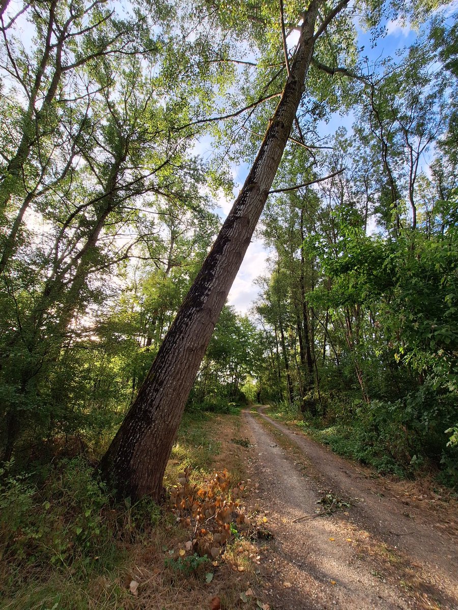 Bonjour  le monde 
Belle journée  bisous