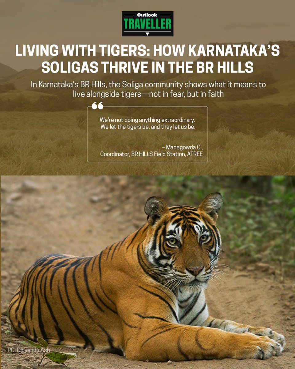 atree_org's tweet image. In the Biligirirangana (BR) Hills of Karnataka, the Soliga community has demonstrated that coexistence is possible with one of the world’s most endangered predators: the tiger.
Unlike typical conservation narratives that separate people from wildlife, the Soligas have continued…