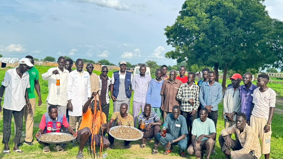 FAO in South Sudan (@faosouthsudan) on Twitter photo 🎣 Courtesy of the <a href="/UNISFA_1/">UNISFA</a>-funded project, <a href="/FAO/">Food and Agriculture Organization</a> 🇸🇸 & Abyei Community Action for #Development conducted a 3-day training on #Fish post-harvest handling & processing in @Abyei.
The initiative promotes food diversity, sustainable practices & income-generating activities 💰 💪 🎣 Courtesy of the <a href="/UNISFA_1/">UNISFA</a>-funded project, <a href="/FAO/">Food and Agriculture Organization</a> 🇸🇸 & Abyei Community Action for #Development conducted a 3-day training on #Fish post-harvest handling & processing in @Abyei.
The initiative promotes food diversity, sustainable practices & income-generating activities 💰 💪