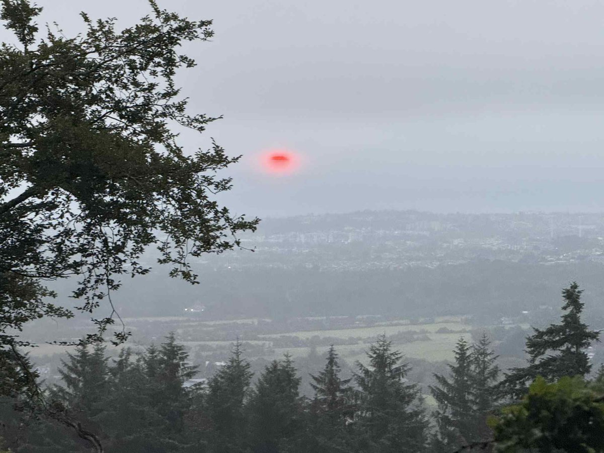 SavetheHellfire's tweet image. Sunrise #MondayMotivation #weather #WorldNatureConservationDay