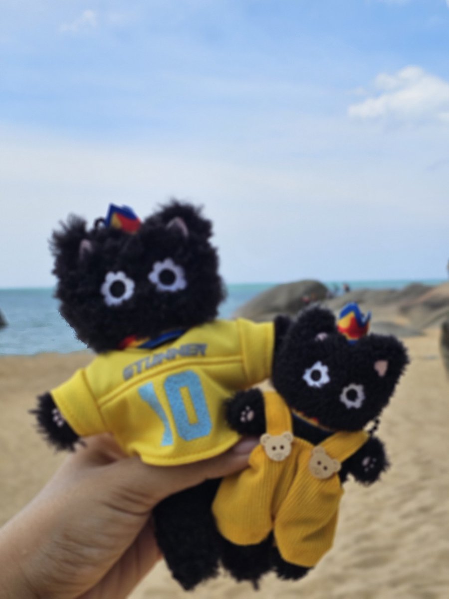Manudoun's tweet image. พาเด็ก ๆ มาอาบแดด 😊🌊🦭
