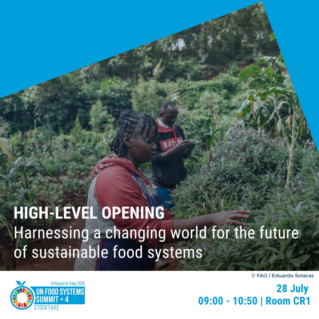 ShandaTyson3's tweet image. Day 1 of #UNFSS2025 is here. 

From Addis Ababa, leaders and  partners gather to advance inclusive, resilient &amp;amp; sustainable #FoodSystems.