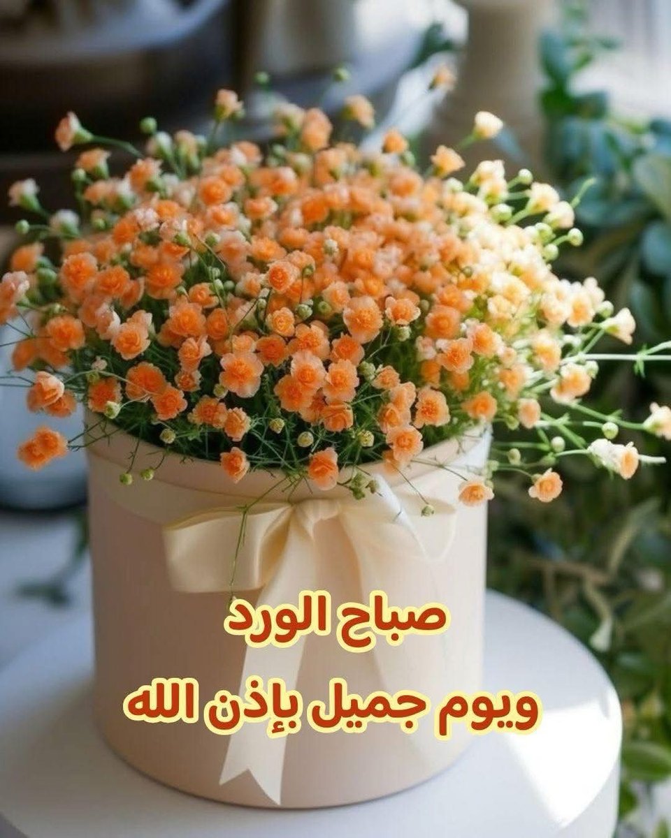 <a href="/nooral5271/">قيثارة الحرف</a>