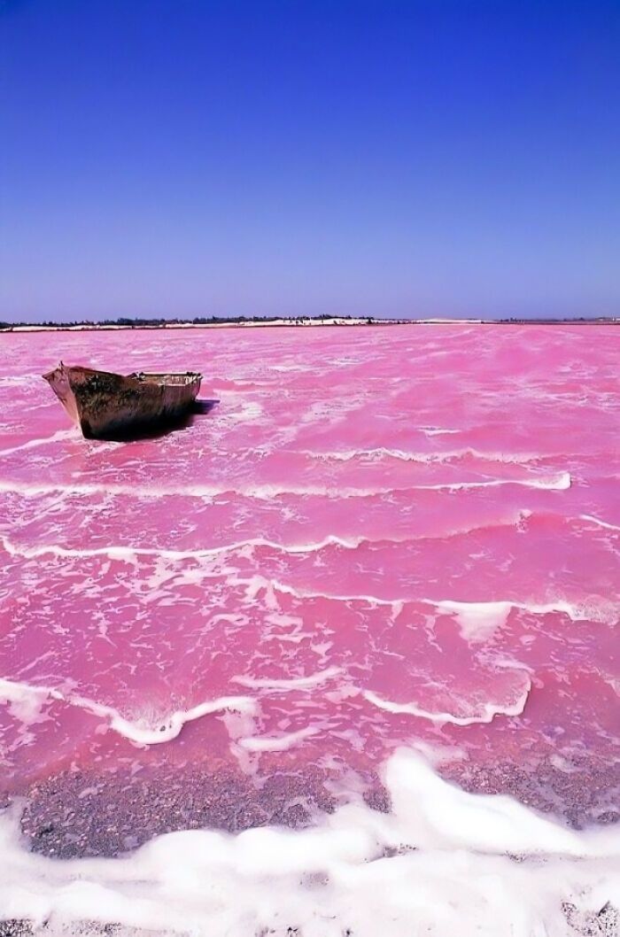 Andedo17's tweet image. Pink water