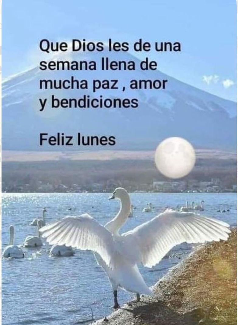CidEloisa's tweet image. HOY es Lunes …