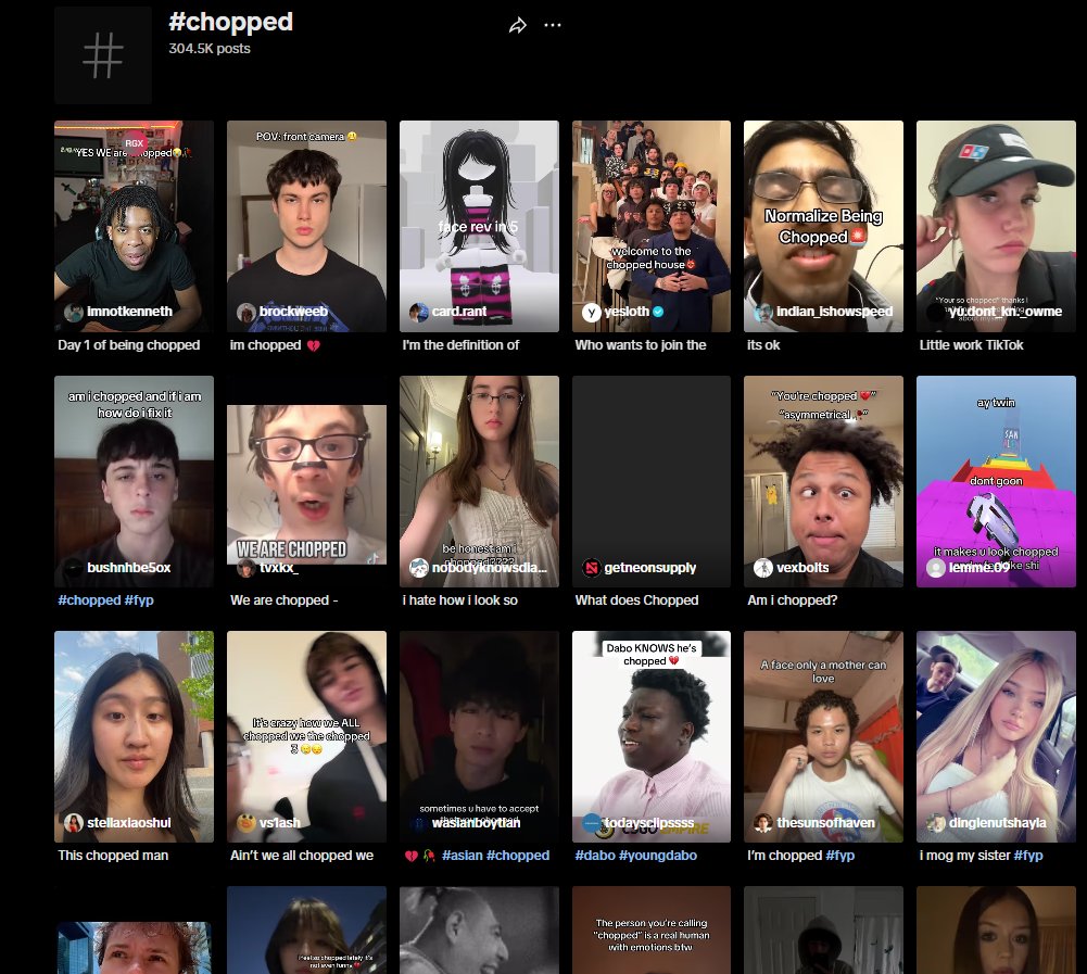 over 300k posts just with this hashtag

we all have heard the word

we've all called at least one person chopped

it's funny, memeable, and relatable

everything you need for a good community, a chopped community

$chopped