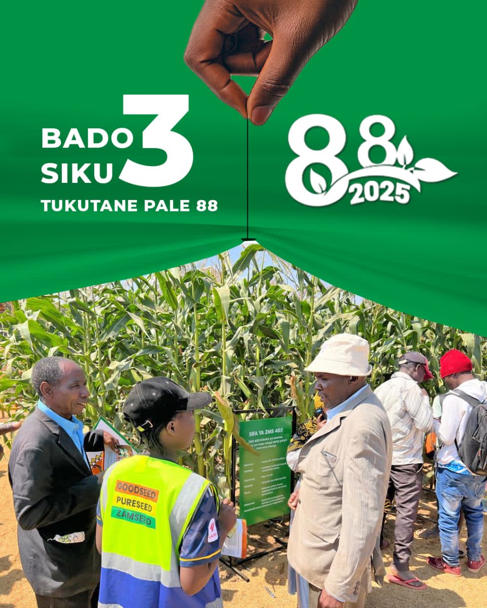 ZamseedTZ's tweet photo. 🔥Bado Siku 3 Tu!

Je, uko tayari kwa mambo makubwa kutoka Zamseed?
➡️ Mbegu bora
➡️ Punguzo la bei
➡️ Vibe ya shujaa wa shamba!

Karibu tukutane kwenye maonyesho ya NaneNane 2025

Zamseed, Chaguo la Mkulima Supa

#zamseedtanzania #pureseed #goodseed #NaneNane2025 https://t.co/RmhLQszsX1