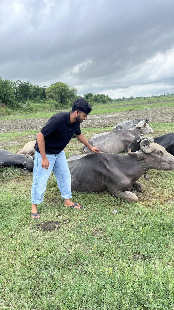 AmarjeetJaikar3's tweet photo. Sukoon & and peaceful wali jagh apna gaaon 🤗🤗
#village #bihar #animallover #amarjeetjaikar #samastipur #plusbeauvillagedefrance #india #desi #desistylefile #gaaon🌾🏞️🌄 #apnagaaon https://t.co/2O6KeuJXmV