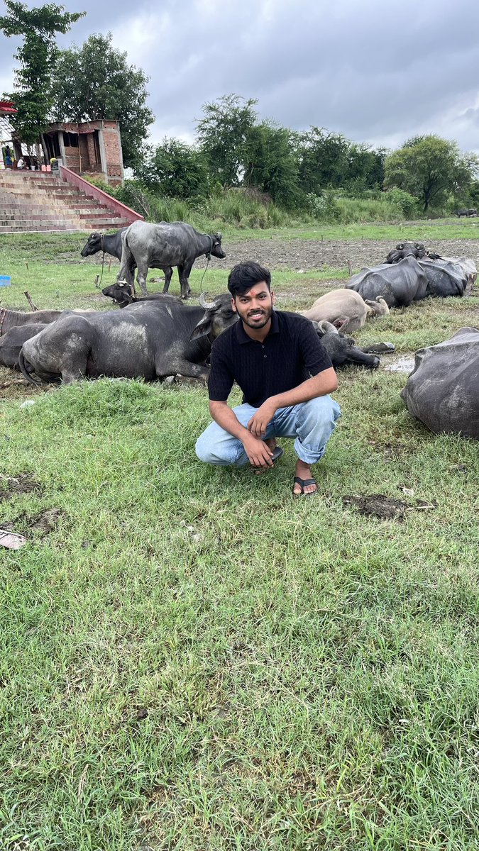 AmarjeetJaikar3's tweet photo. Sukoon & and peaceful wali jagh apna gaaon 🤗🤗
#village #bihar #animallover #amarjeetjaikar #samastipur #plusbeauvillagedefrance #india #desi #desistylefile #gaaon🌾🏞️🌄 #apnagaaon https://t.co/2O6KeuJXmV