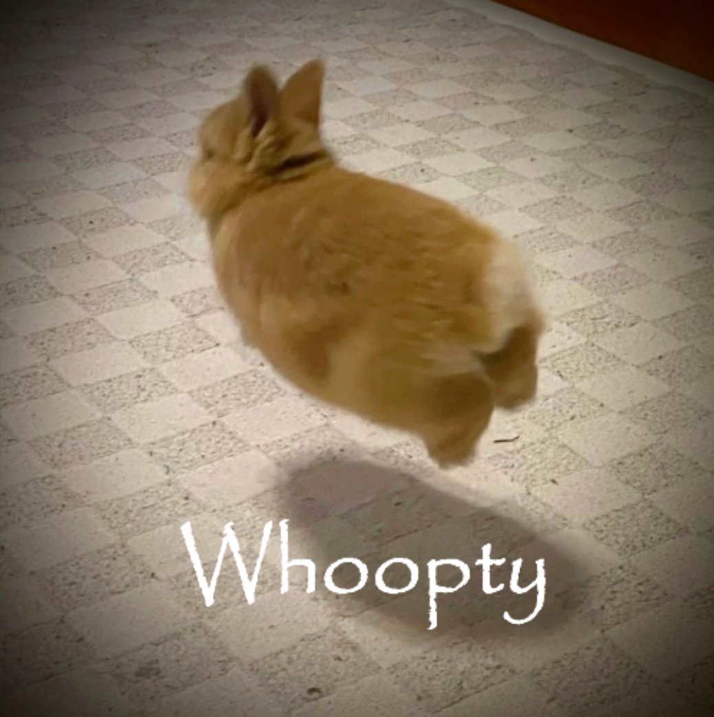 Cream the Rabbit! tweet media