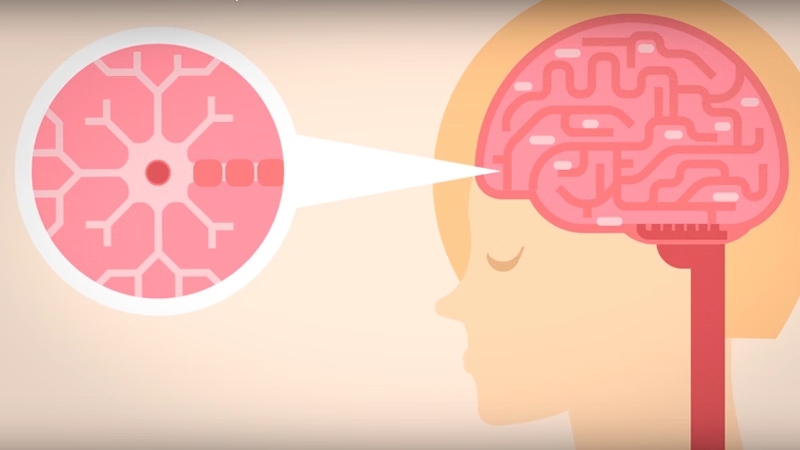 ¿Cómo proteger el sistema nervioso central en #EsclerosisMúltiple? 🧬

La clave está en detectar a tiempo la actividad "silenciosa" de la enfermedad y, para ello, nos ayudaremos de pruebas como la resonancia magnética 🧐

+info 📲 rochepacientes.es/esclerosis-mul…