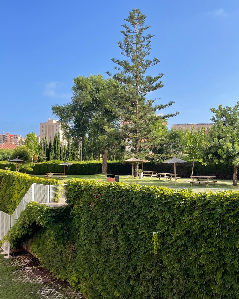 🔷Estudiar en Fundesem es también disfrutar de un entorno diseñado para impulsar tu desarrollo profesional.  Nuestras instalaciones, totalmente renovadas, ofrecen todos los servicios para formarte y compartir.   

📷 fundesem.es 

 #FundesemBusinessSchool #Alicante