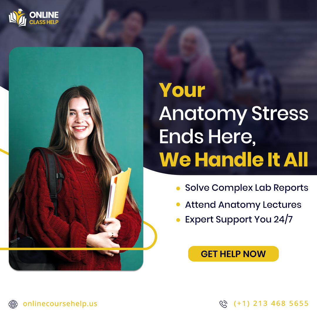 classhelpus's tweet image. Tired of anatomy stress This smiling student knows the secret to success with expert help managing lab reports attending lectures and getting 24 7 support Say goodbye to academic pressure and focus on what truly matters your peace of mind
.
.
.
#anatomyhelp #onlineclasshelp