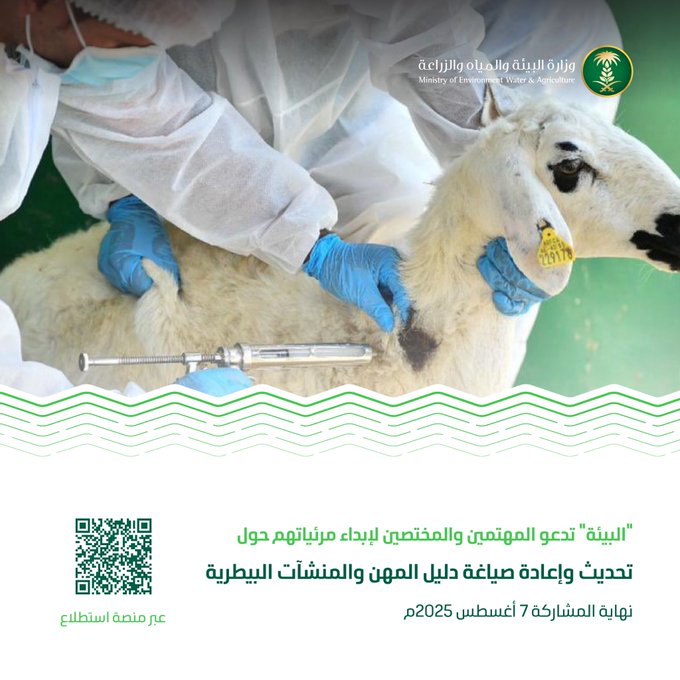 الصورة