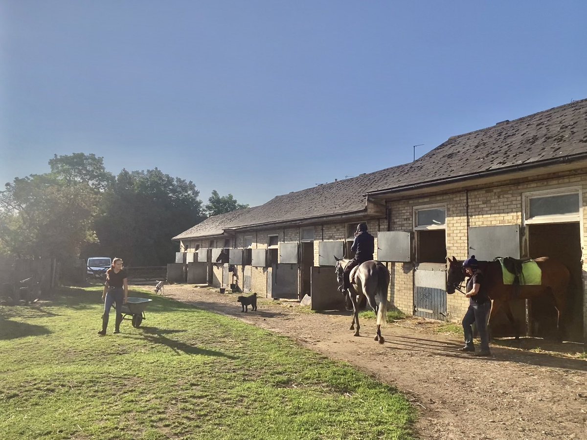 JohnWathenBerry's tweet image. A lovely warm, sunny start to Monday morning in Newmarket. Currently 15 degrees; forecast high 23.