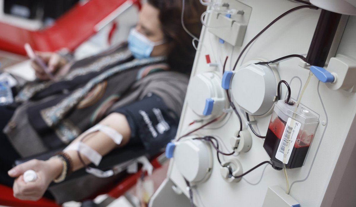 💛 Esta semana el Tour Plasma estará en el hospital Fundación Alcorcón.

👉 Los requisitos para #donarplasma son los mismos que para #donarsangre: tener entre 18 y 65 años, pesar +50kg y tener buena salud.

👉 Todo el proceso dura 45 minutos y es con cita previa: 91.301.72.40