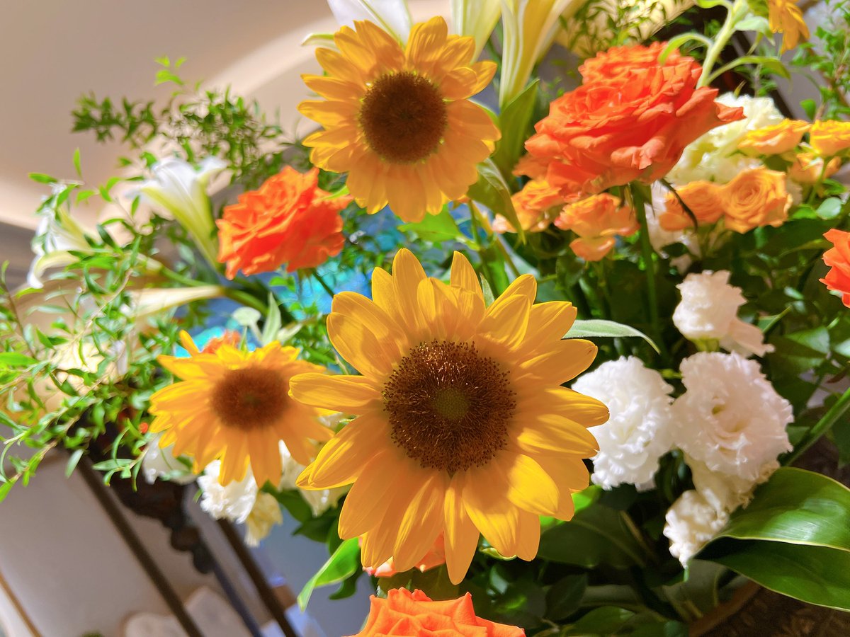 66___boc's tweet image. 1ヶ月検診、無事に終わりました🌻
今日で産院卒業.....先生も助産師さんも皆さん優しくてあったかくて大好きな場所だからさびしい〜〜〜🥹🥹🥹