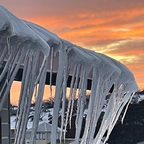 ForrestHotel's tweet photo. Snow stays Book Today
Discounted rates Yay!!!
https://t.co/qRXWwPPVyg https://t.co/3EVGVmA2ao