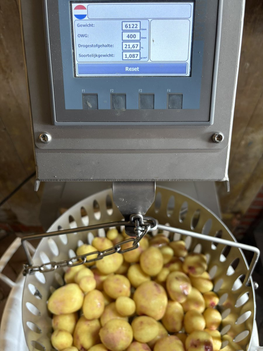 VanZwolLandbouw's tweet photo. Vanaf dit jaarzijn we ook bereikbaar voor bemiddeling van partijen aardappelen. 
Van kriel tot bovenmaatse pootaardappelen en van tafel- tot frietaardappelen. 
Heb je iets te verkopen of wil je wat marktinformatie dan kun je altijd bellen.
Ook kun je bij ons het OWG laten meten . https://t.co/OJc5ykzgIE