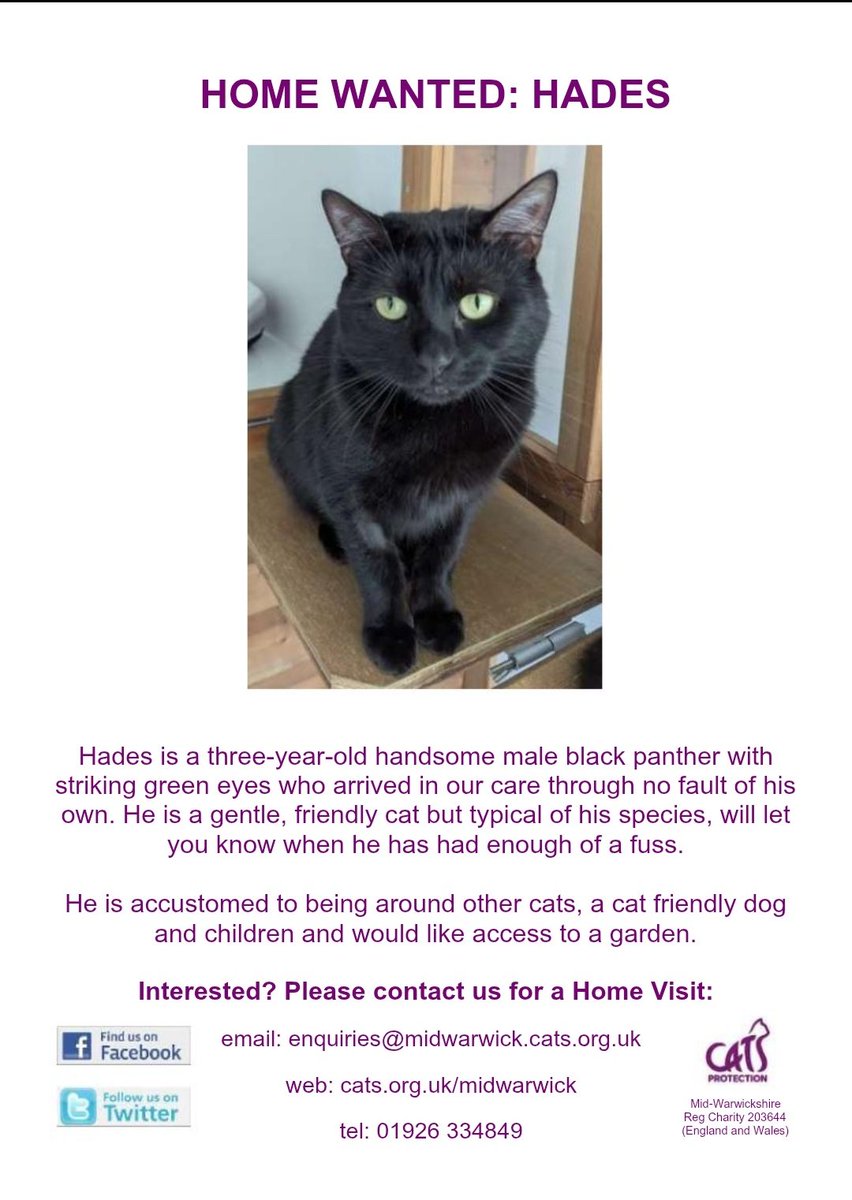 HOME WANTED: HADES is a beautiful 3-uear old boy looking for a home with a garden and a lot of love.

#adoptdontshop
