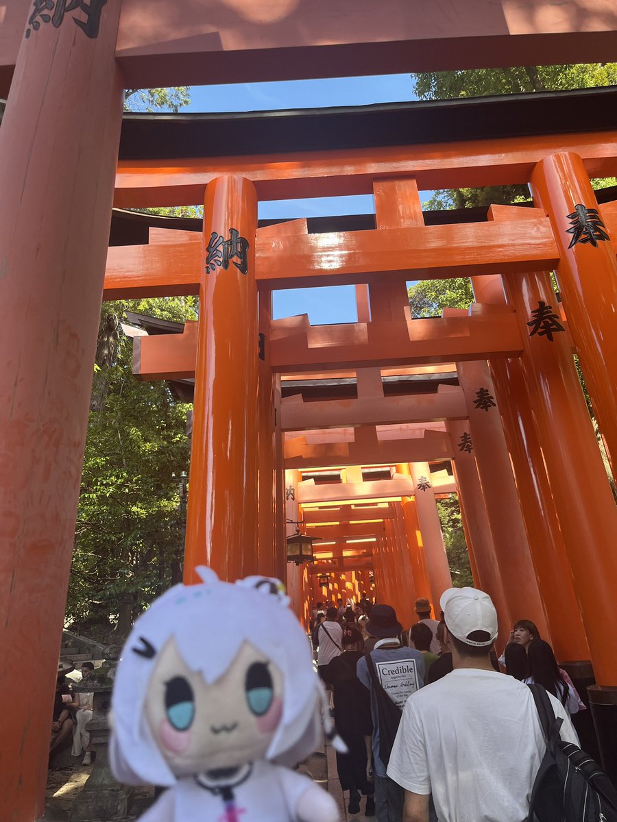 merutaoo's tweet image. さて、行ってきます