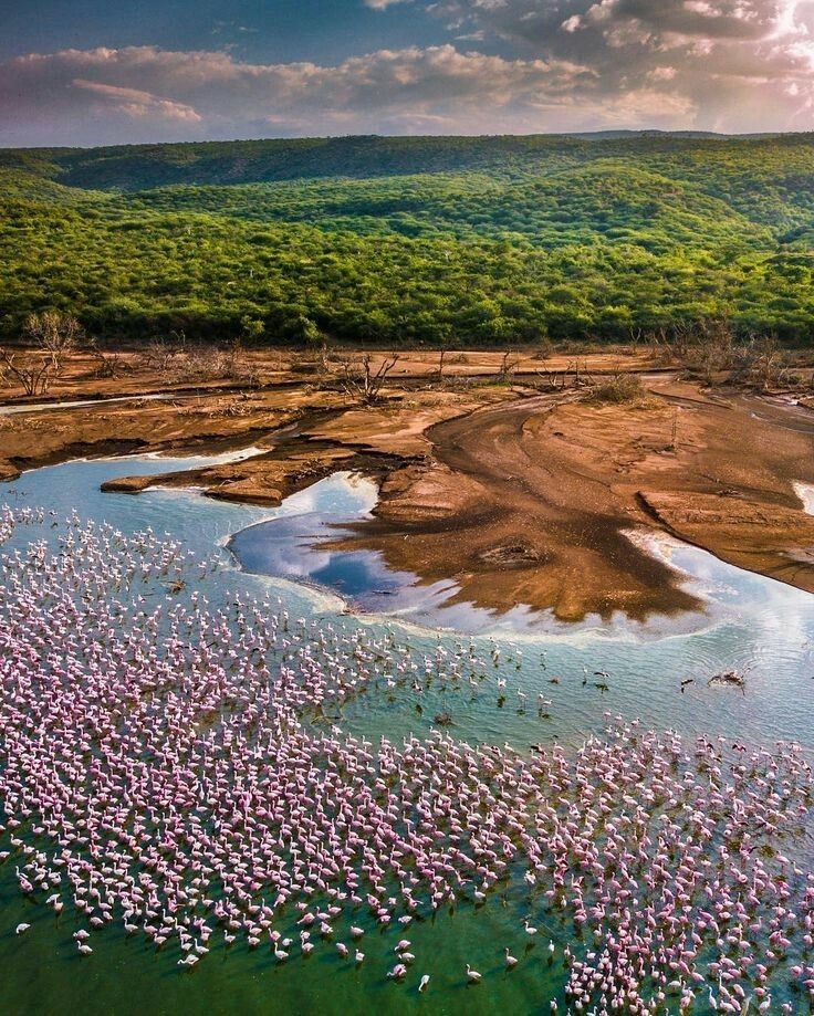 Andedo17's tweet image. Our wonderful World