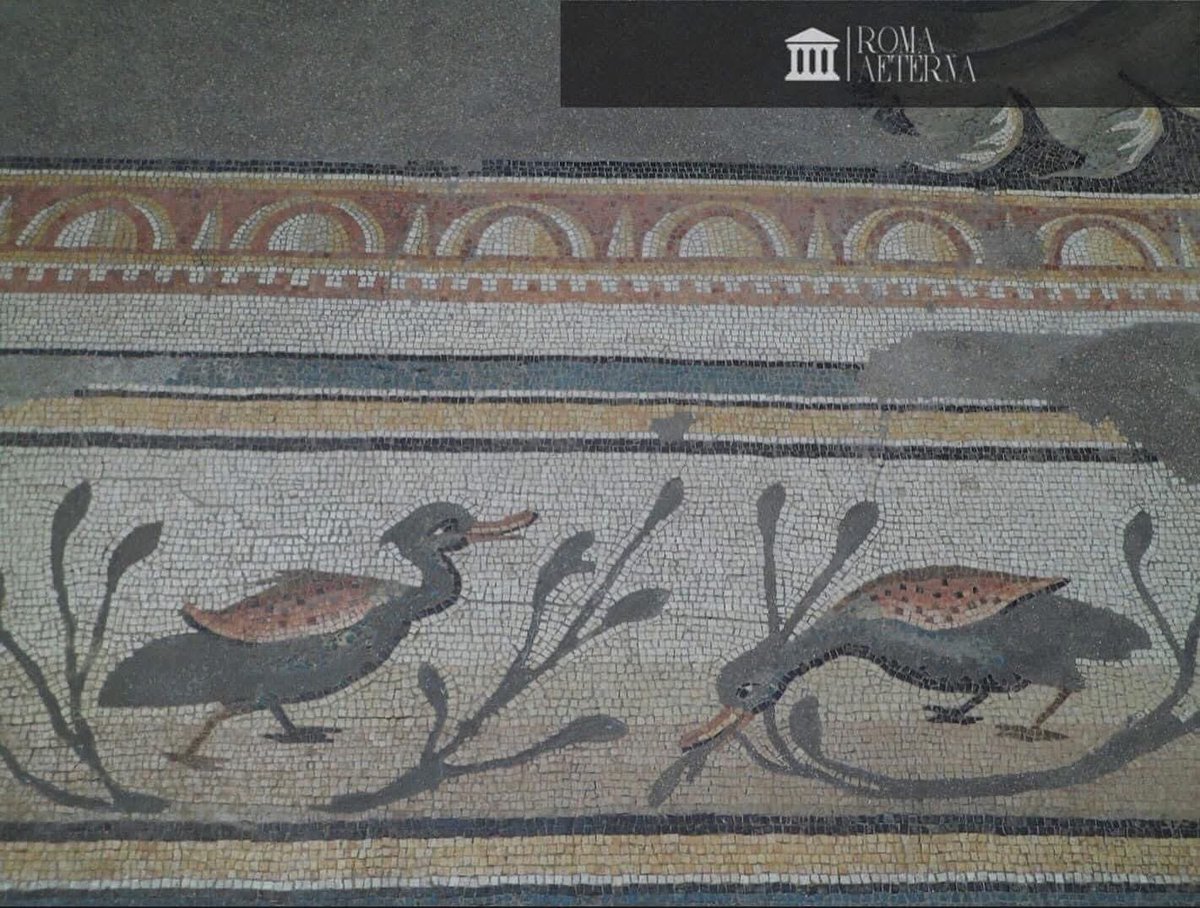 ValeriaAugusta8's tweet image. #MosaicMonday. Détails de la mosaïque des saisons retrouvée à Daphné (faubourg d’Antioche-sur-l’Oronte, Antakya, Turquie). Elle a été réalisée en cubes de marbre et de calcaire vers 325 ap. J.-C. Elle est exposée au Musée du #Louvre.