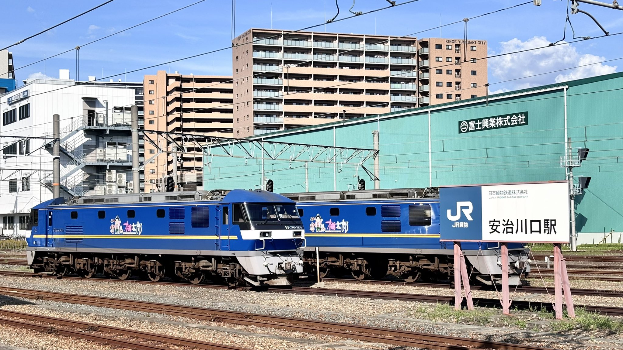 WARAFUJI🦫🎤🎸🥁🐉🎶 on X: 