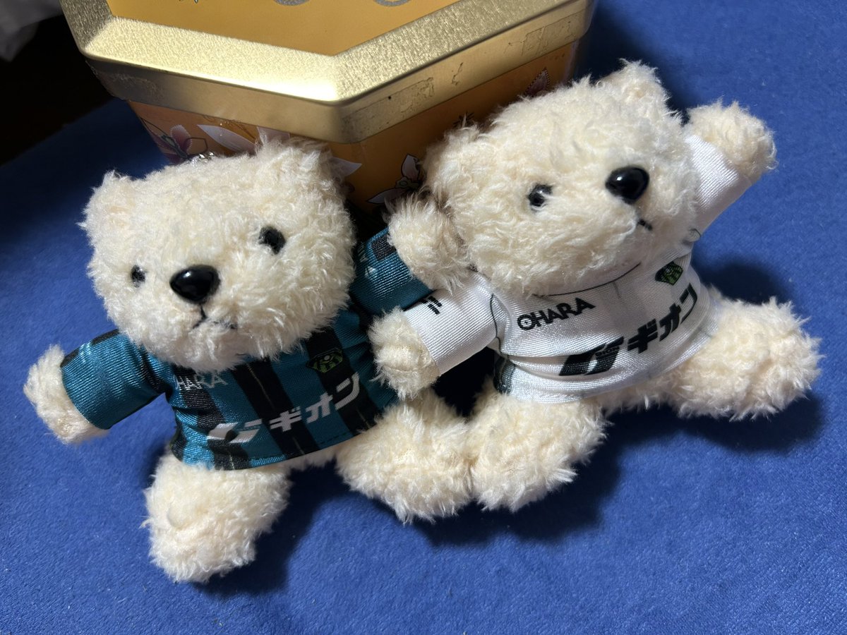 Reima_j's tweet image. 届いたー🧸
ふわふわかわいい🫶