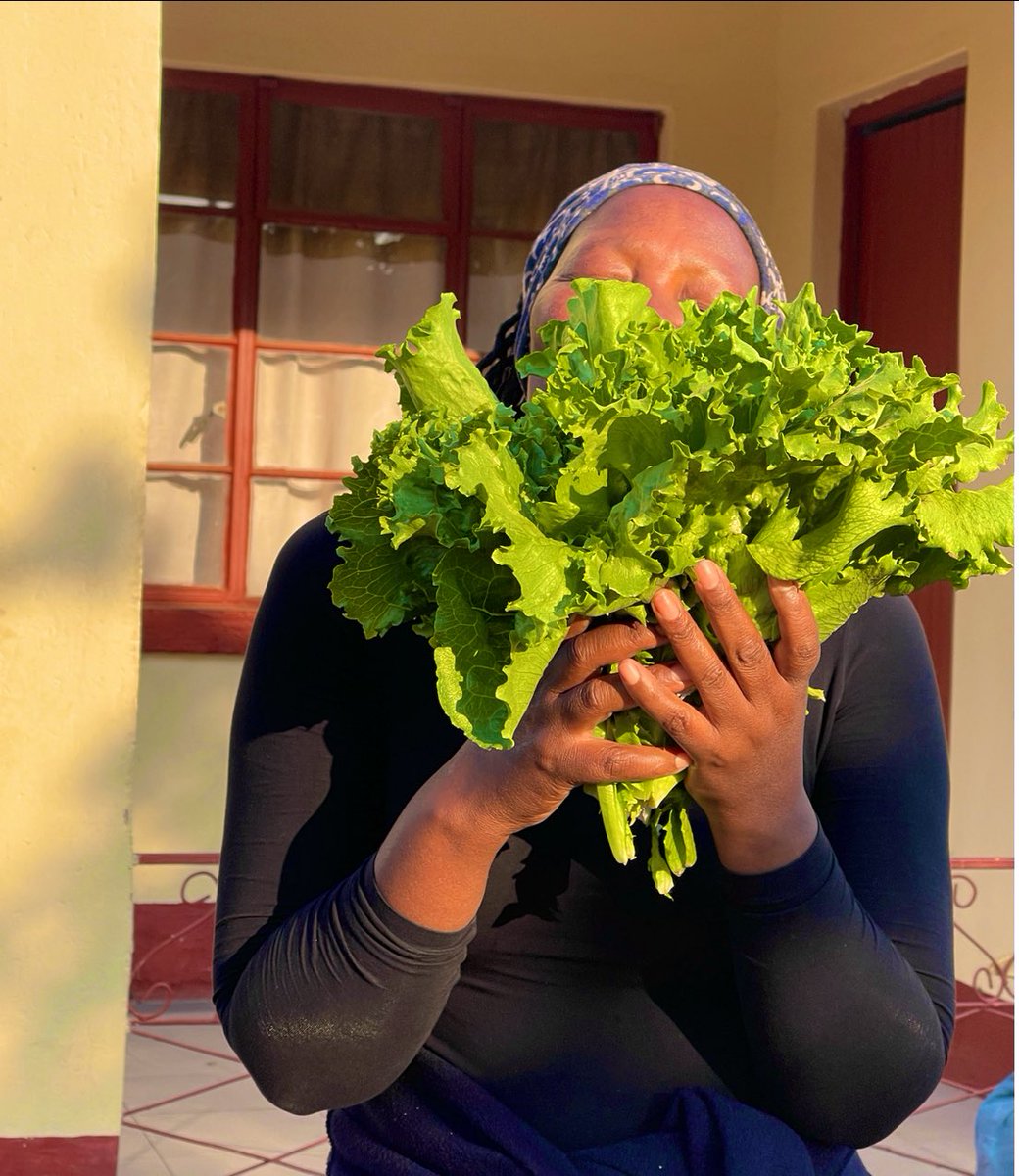 Vie_matongo's tweet image. Zvatinoita tirikwedu, guruva ropfumbuka tichirima. @TeamFuloZim covo and lettuce