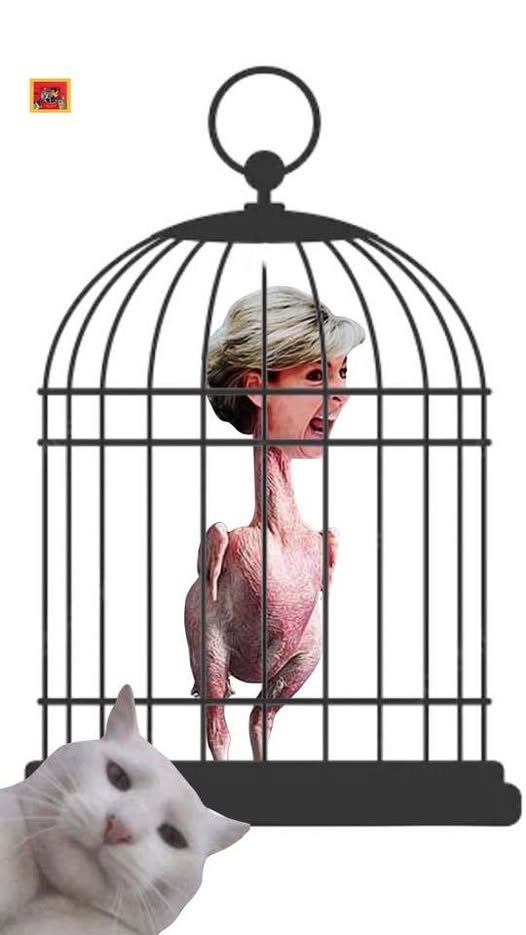 GusLefty's tweet image. 