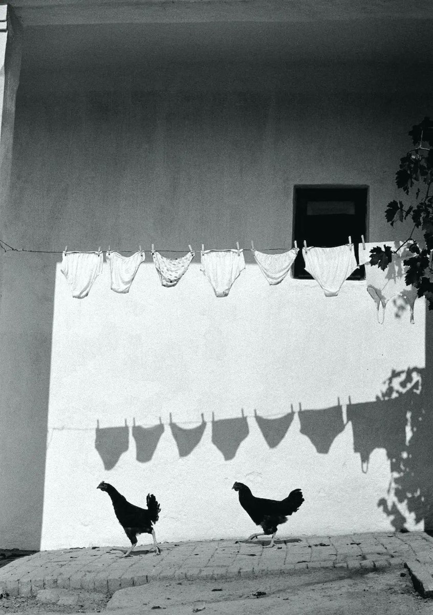 paniEMES's tweet image. #dzieńdobry

Bruno Bourel