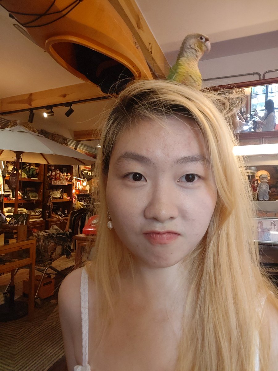 0xzoe_im's tweet image. SiGM
zoe vs zoo 🐶🐱🦜🦁