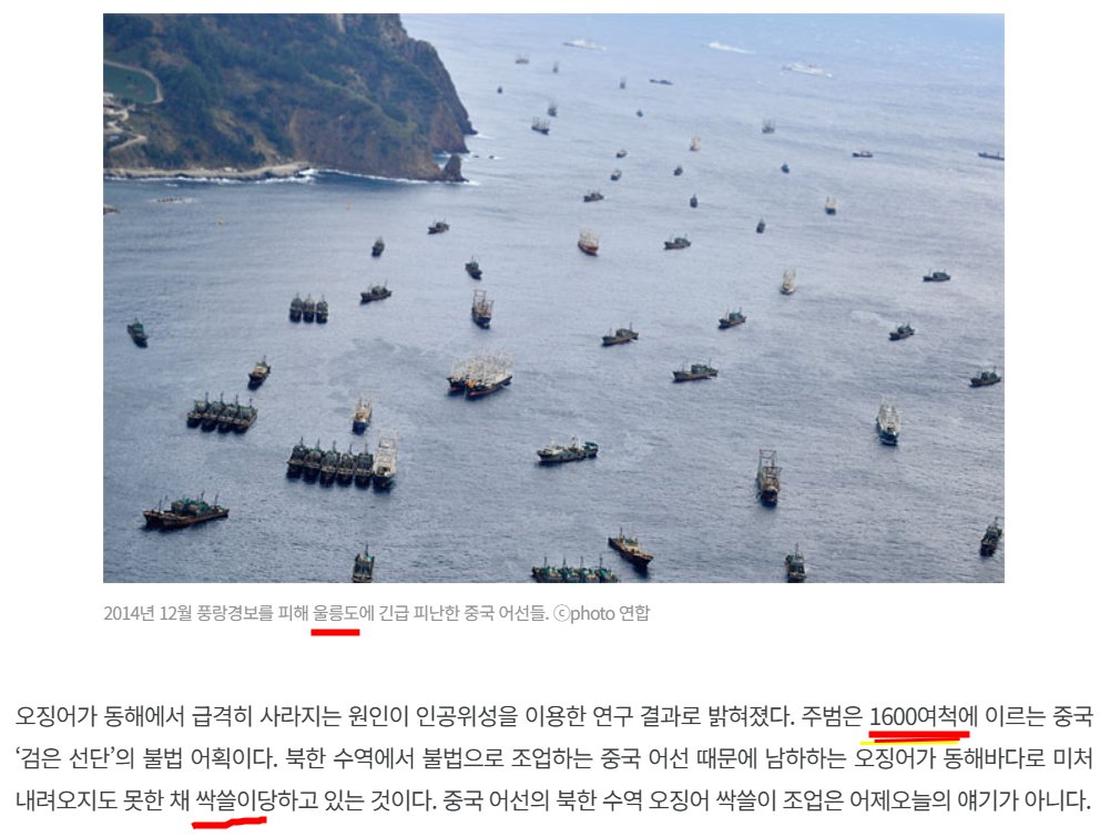 OmegaSoft4WT's tweet image. 2020년 기사, 오징어 사라진 이유, 마구 싹쓸이하는 China,
이런 민족을 경계해야 하는 것은 국가의 기본, 정당의 기본인데 지금은 그들 돈에 마취, 반역 배신
