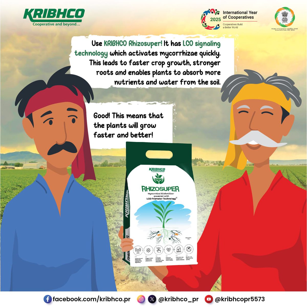 KRIBHCO_PR's tweet image. Not getting good crop growth even after using quality seeds?
The reason might be weak roots.
KRIBHCO Rhizosuper, with its advanced LCO signaling technology, helps beneficial mycorrhizae grow faster. This makes roots stronger, improves nutrient and water intake, and supports…