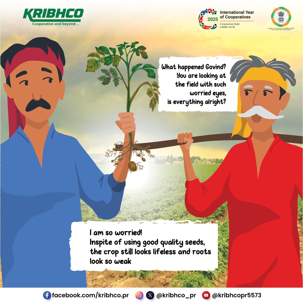 KRIBHCO_PR's tweet image. Not getting good crop growth even after using quality seeds?
The reason might be weak roots.
KRIBHCO Rhizosuper, with its advanced LCO signaling technology, helps beneficial mycorrhizae grow faster. This makes roots stronger, improves nutrient and water intake, and supports…